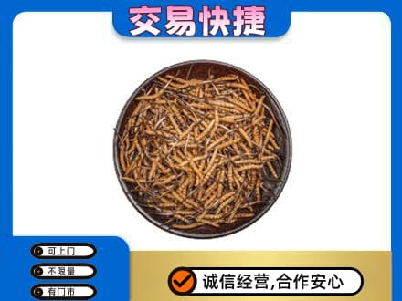 延边珲春市回收散虫草
